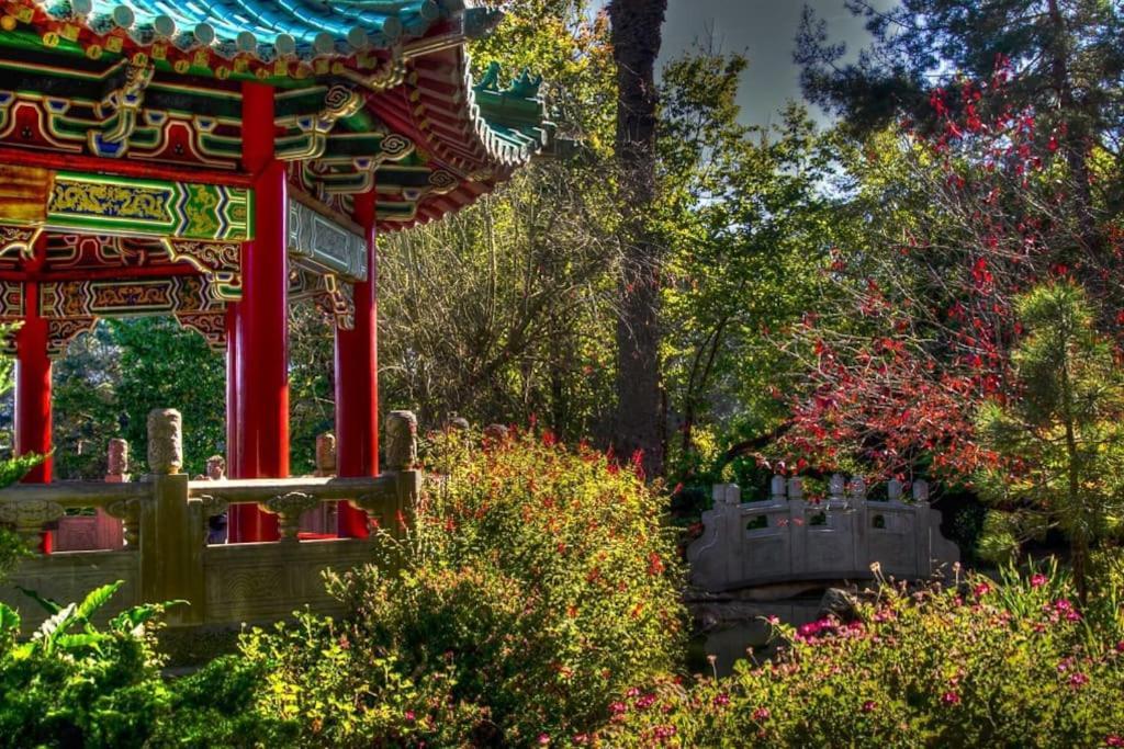 Golden Gate Park Sweet Home-2 Bedrooms 旧金山 外观 照片
